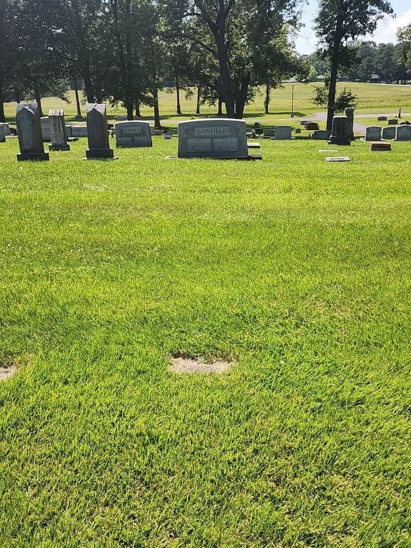 Henry W. Larrett's grave. Photo 2