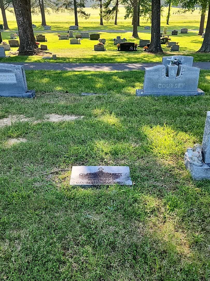 Charley E. Earles's grave. Photo 2