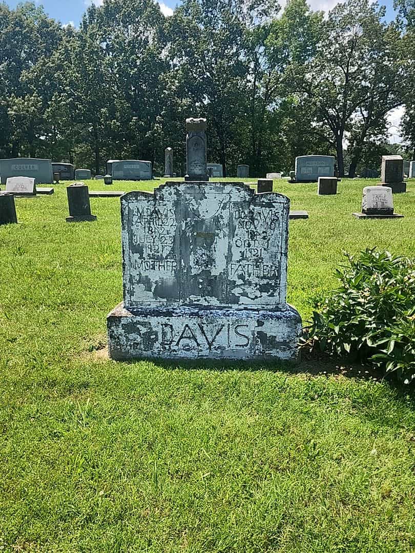 D. C. Davis's grave. Photo 2