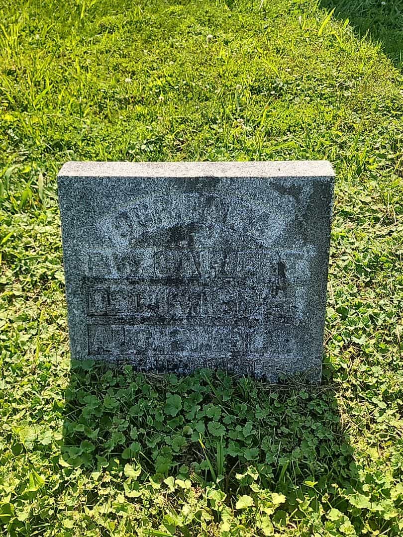 P. W. Calvert's grave. Photo 3