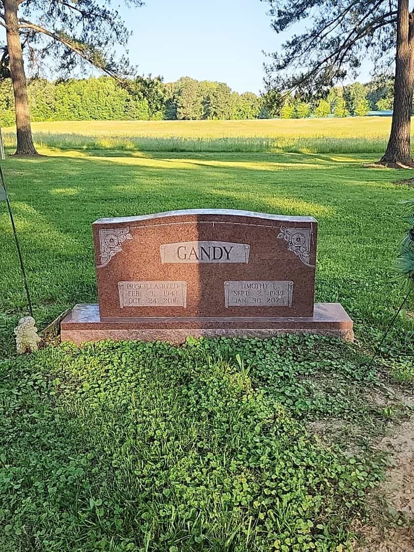 Priscilla Reed Gandy's grave. Photo 2