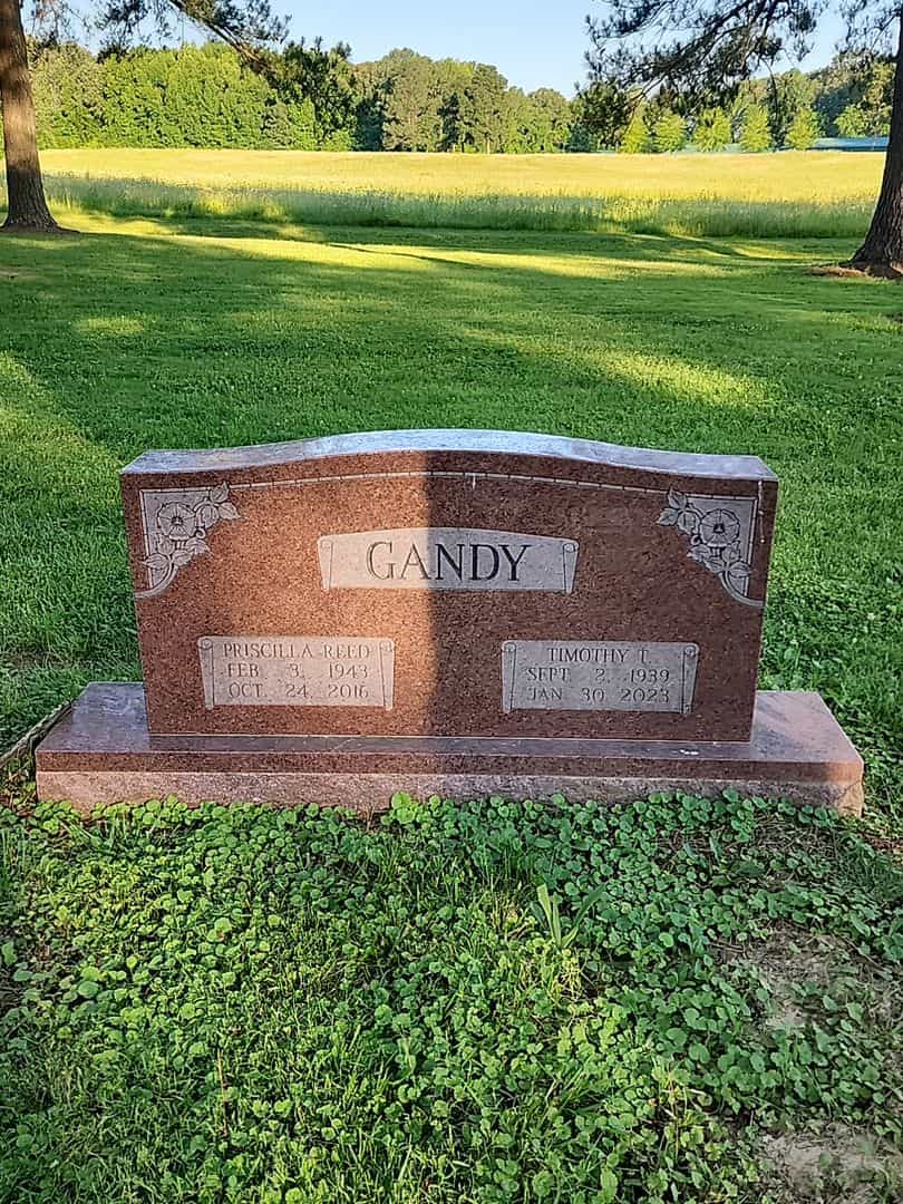 Priscilla Reed Gandy's grave. Photo 1