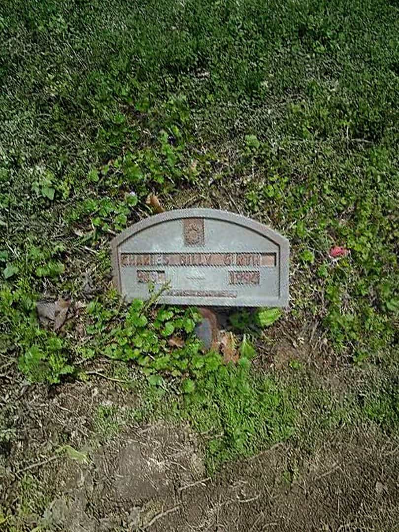 Charles Billy Girth's grave. Photo 1
