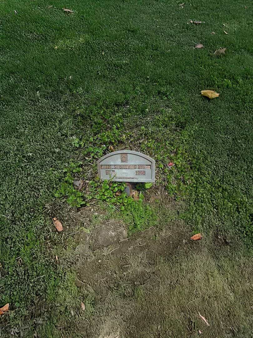 Charles Billy Girth's grave. Photo 2