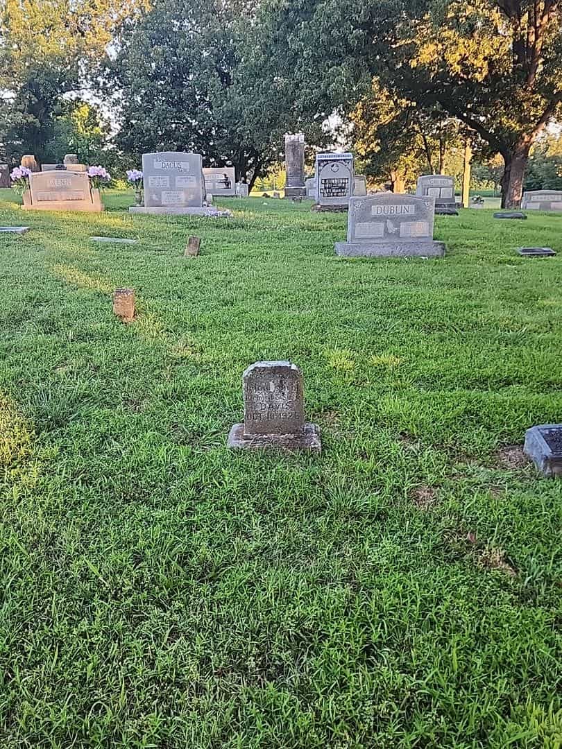 Infant Davis's grave. Photo 2