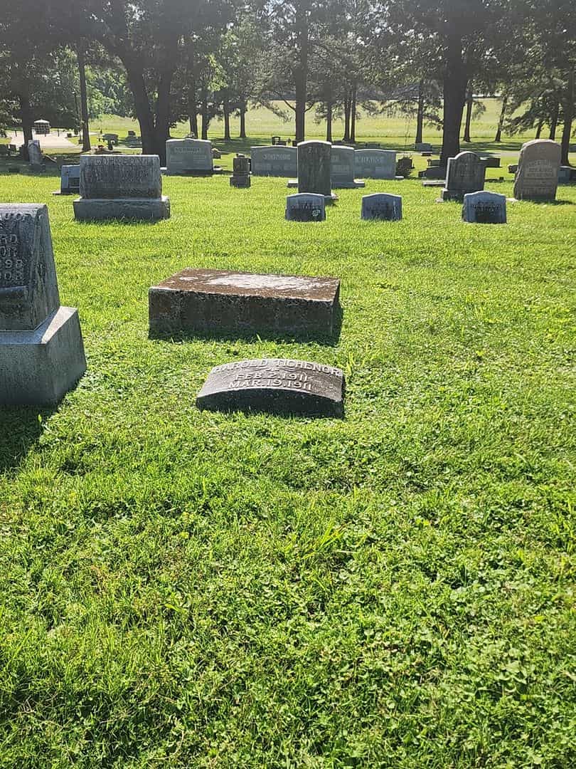 Harold Tichenor's grave. Photo 2