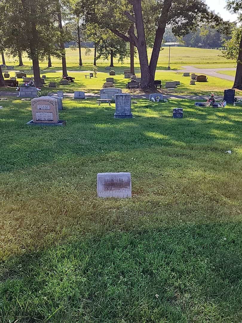 Violet Farley's grave. Photo 2