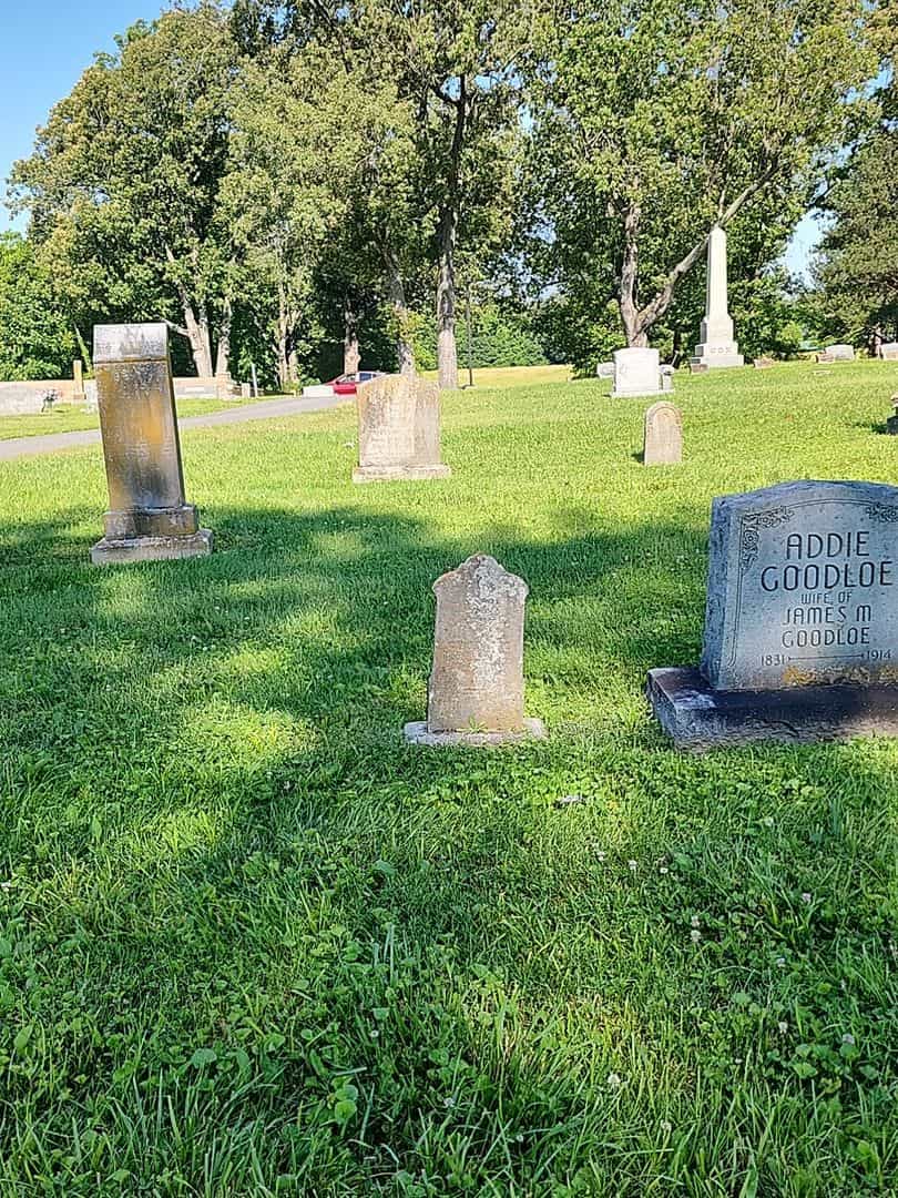 James H. Goodloe's grave. Photo 2