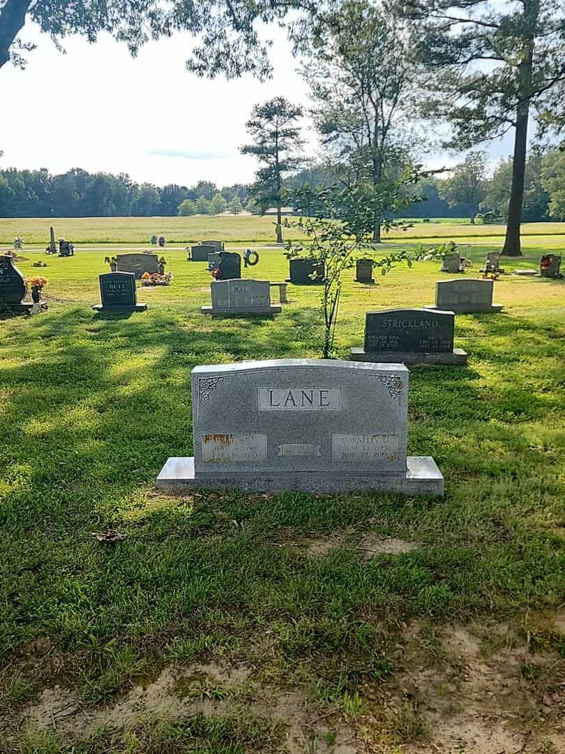 Lee F. Lane's grave. Photo 2