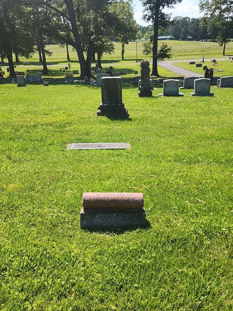 George E. Banks's grave. Photo 2