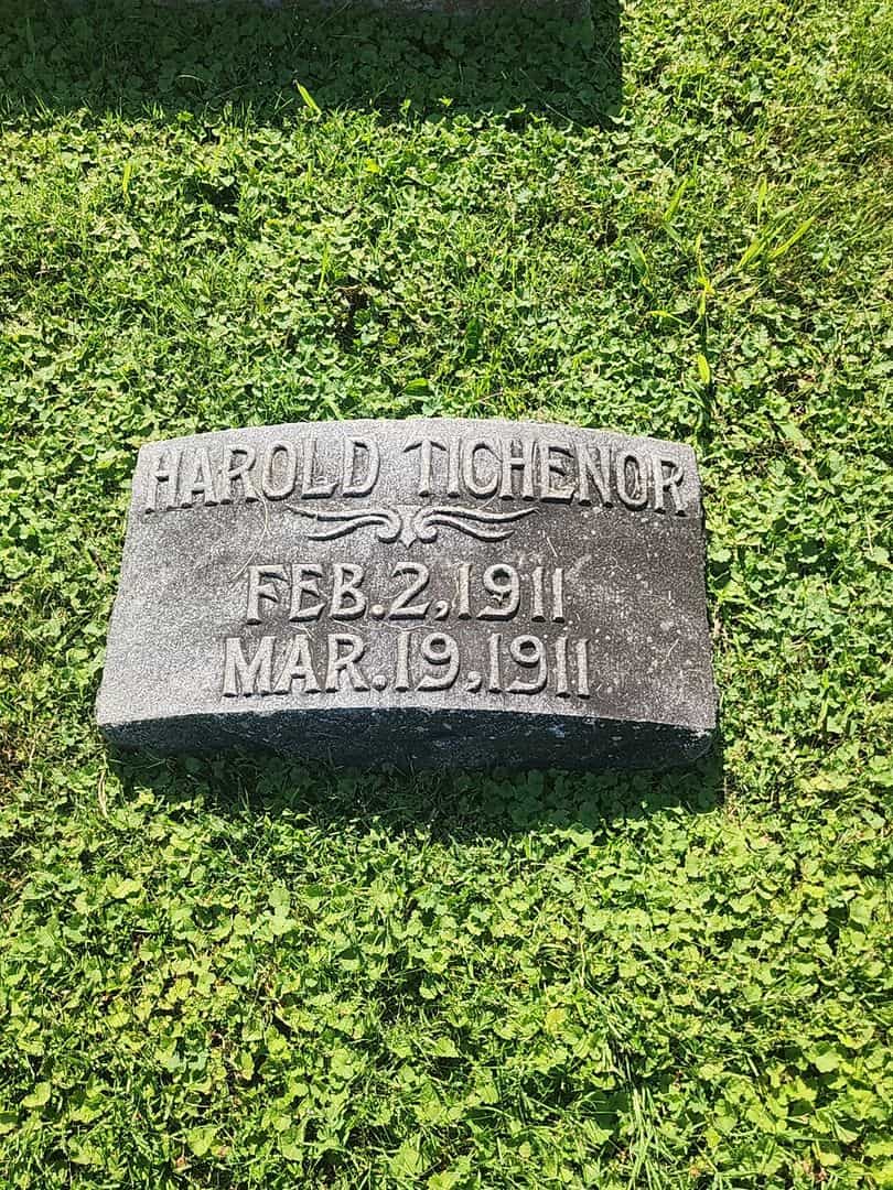 Harold Tichenor's grave. Photo 3