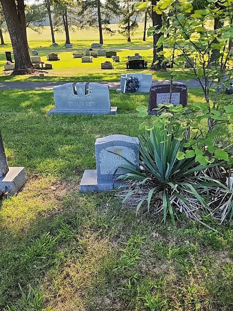Rosalea Earles's grave. Photo 2