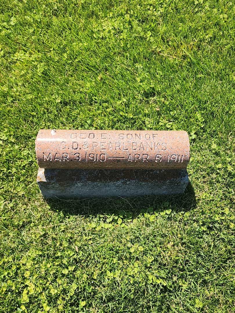 George E. Banks's grave. Photo 1