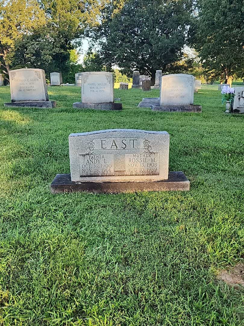 Andy L. East's grave. Photo 2