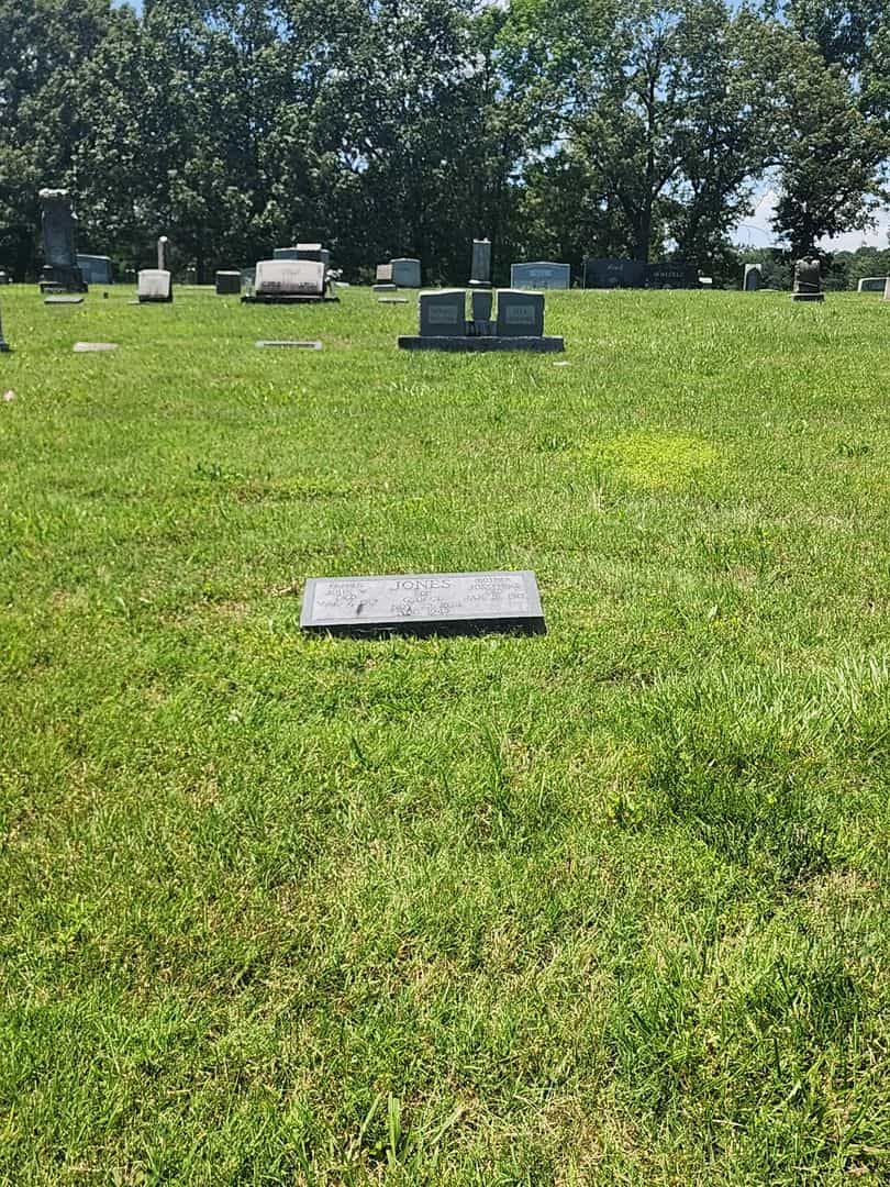 John W. Jones's grave. Photo 2