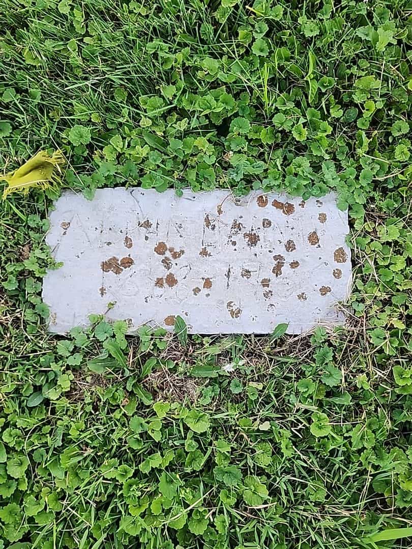 Alpha Manning's grave. Photo 1