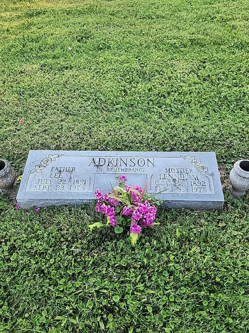 Lee T. Adkinson's grave. Photo 1