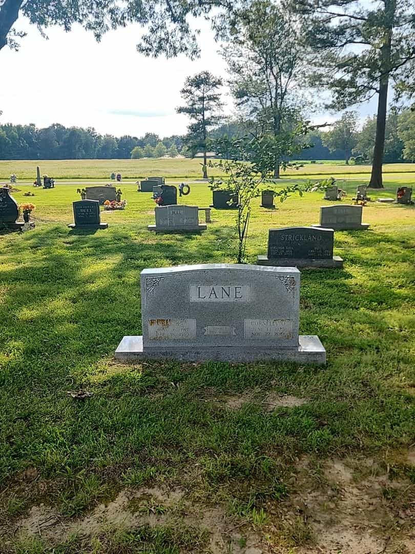 Cornelia O. Lane's grave. Photo 2