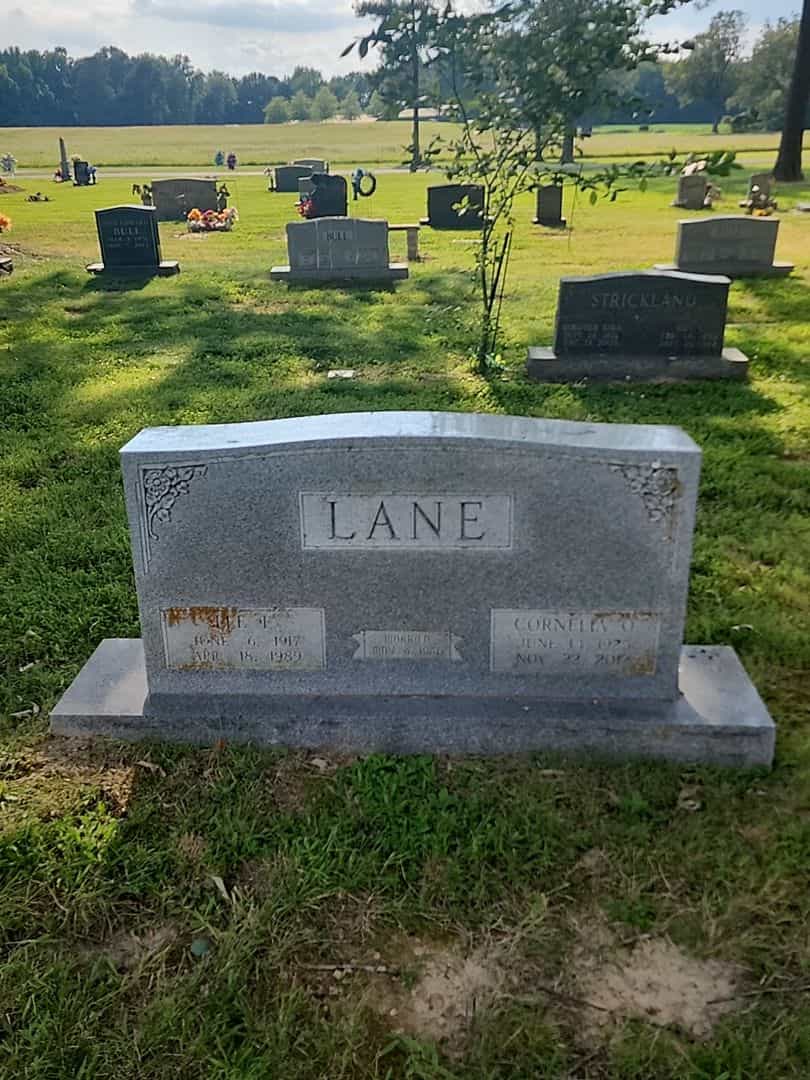 Cornelia O. Lane's grave. Photo 1