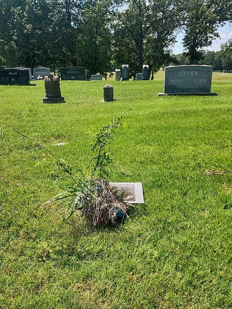 James Henry Adcock's grave. Photo 2