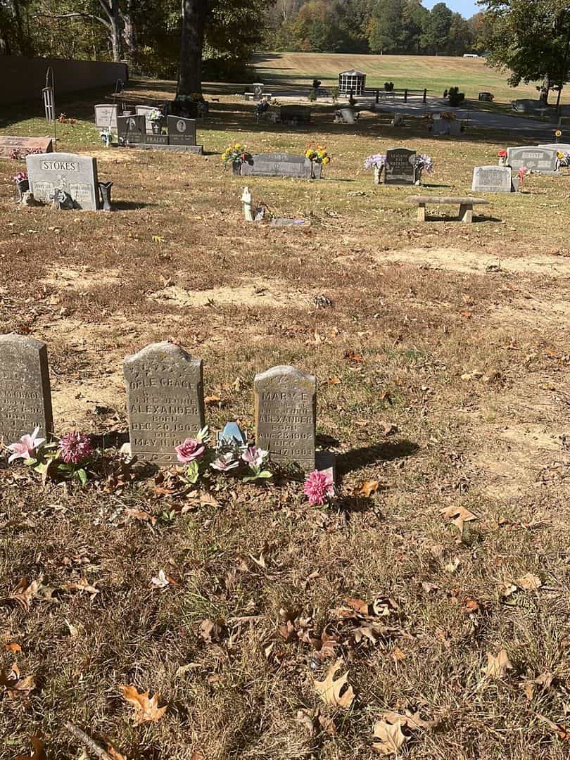 Mary E. Alexander's grave. Photo 2