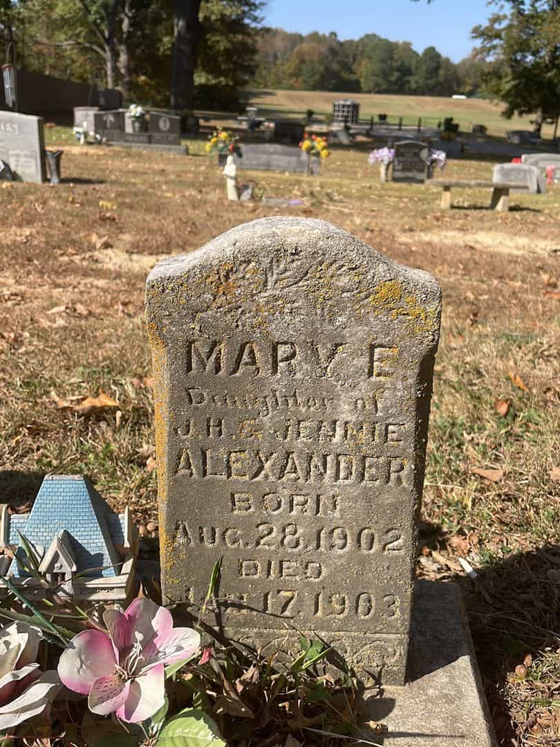 Mary E. Alexander's grave. Photo 1
