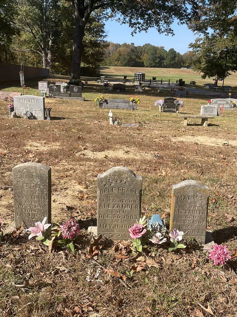 Ople Grace Alexander's grave. Photo 2