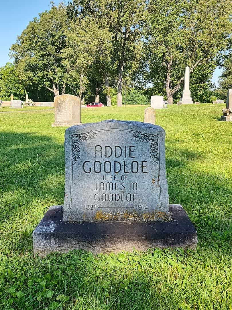 Addie Goodloe's grave. Photo 1