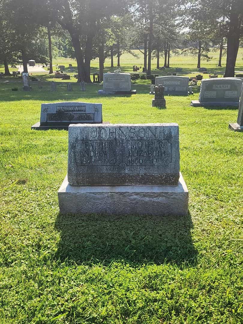 Andrew W. Johnson's grave. Photo 2