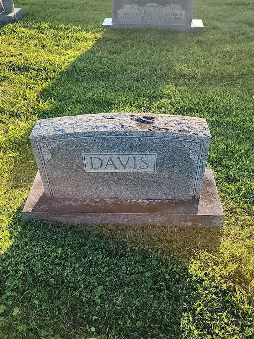 Erma Davis's grave. Photo 1