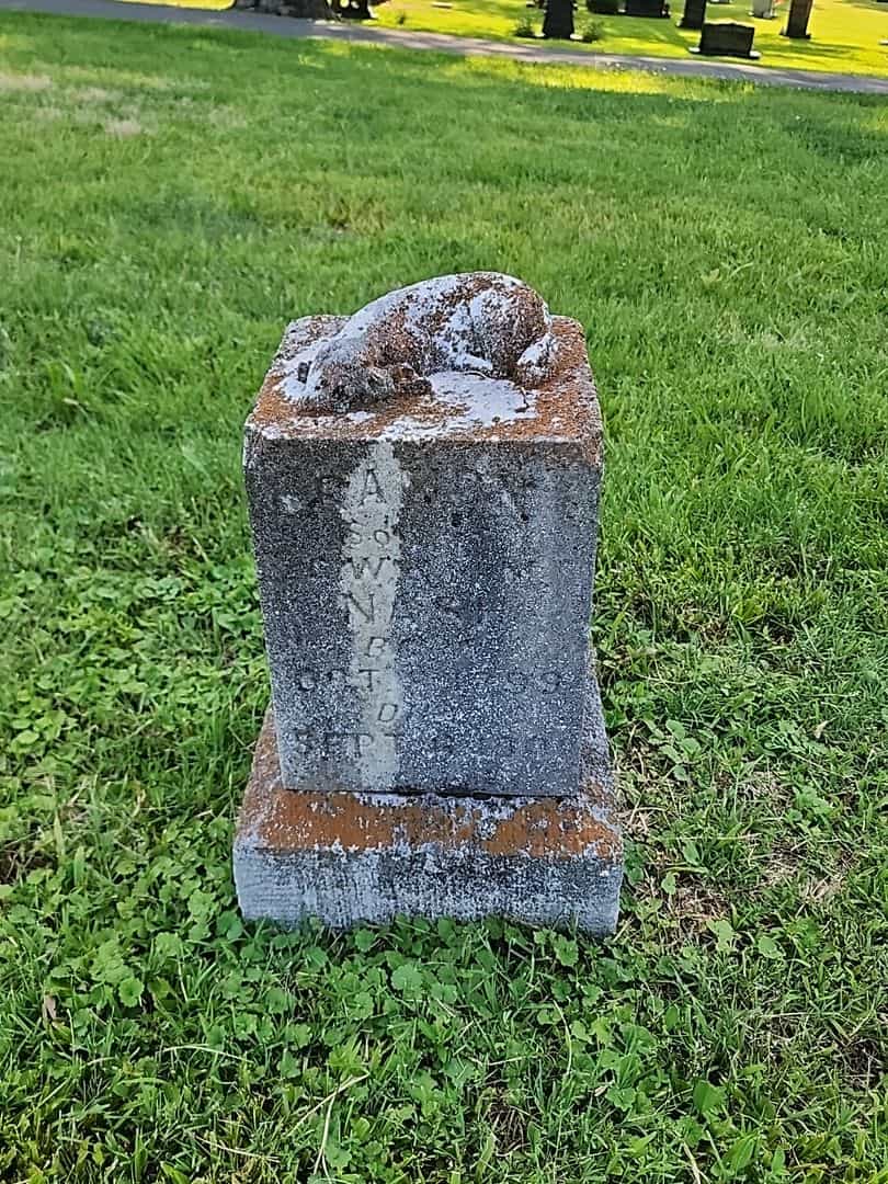 Ramon Nash's grave. Photo 1