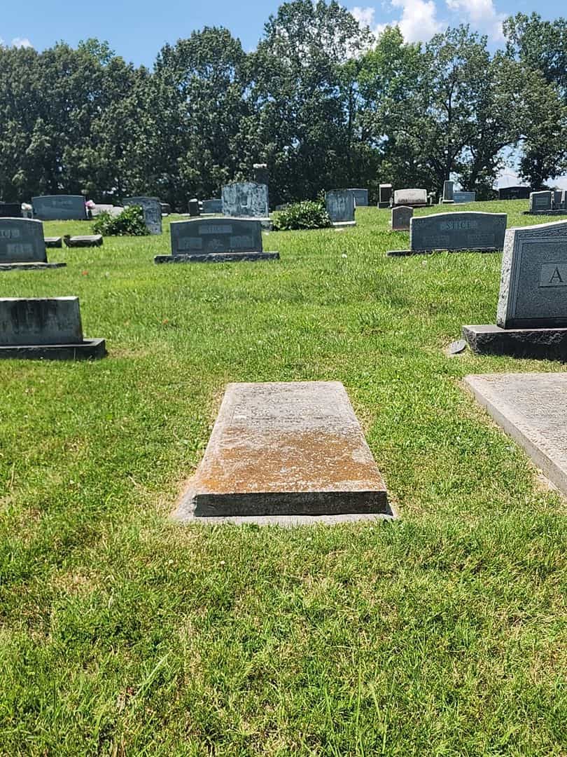 William E. Alvey's grave. Photo 2