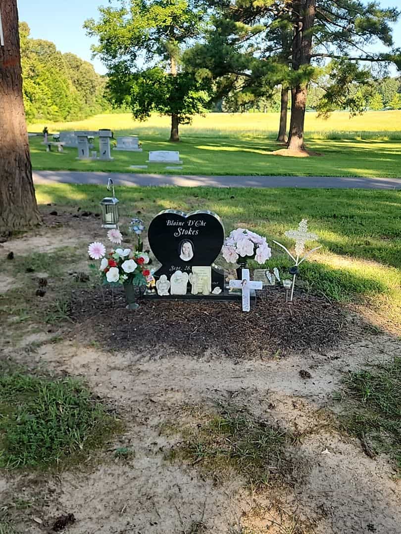 Blaine D'Ghe Stokes's grave. Photo 2