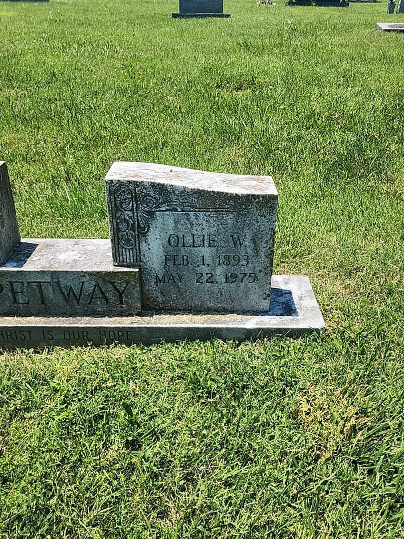 Ollie W. Petway's grave. Photo 3