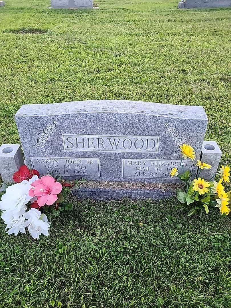 Aaron John Sherwood Junior's grave. Photo 1