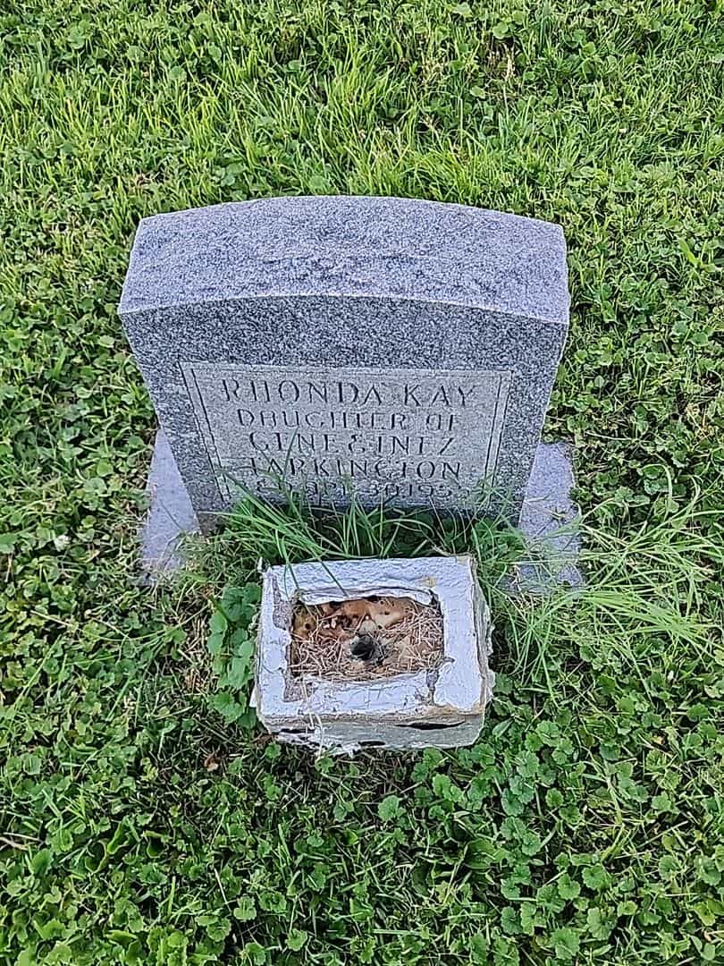 Rhonda Kay Tarkington's grave. Photo 1
