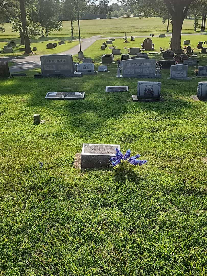 Infant Son Adkinson's grave. Photo 2