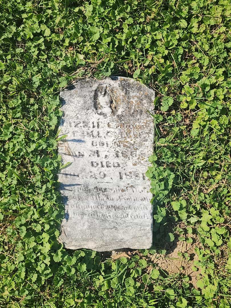Lizzie Calvert's grave. Photo 1