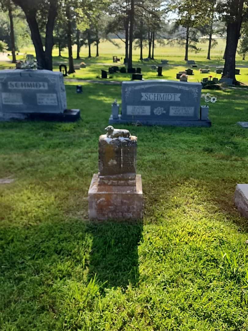 Willie Nash's grave. Photo 2
