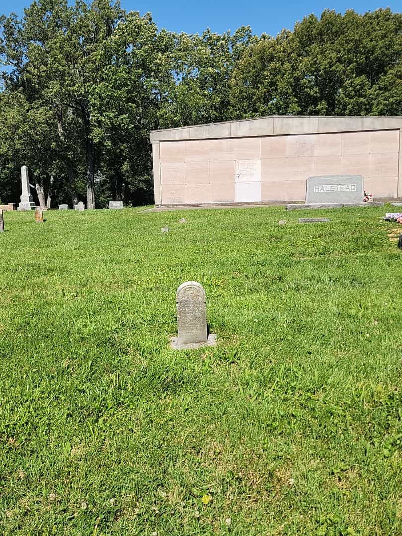 Georgie Johnson's grave. Photo 2