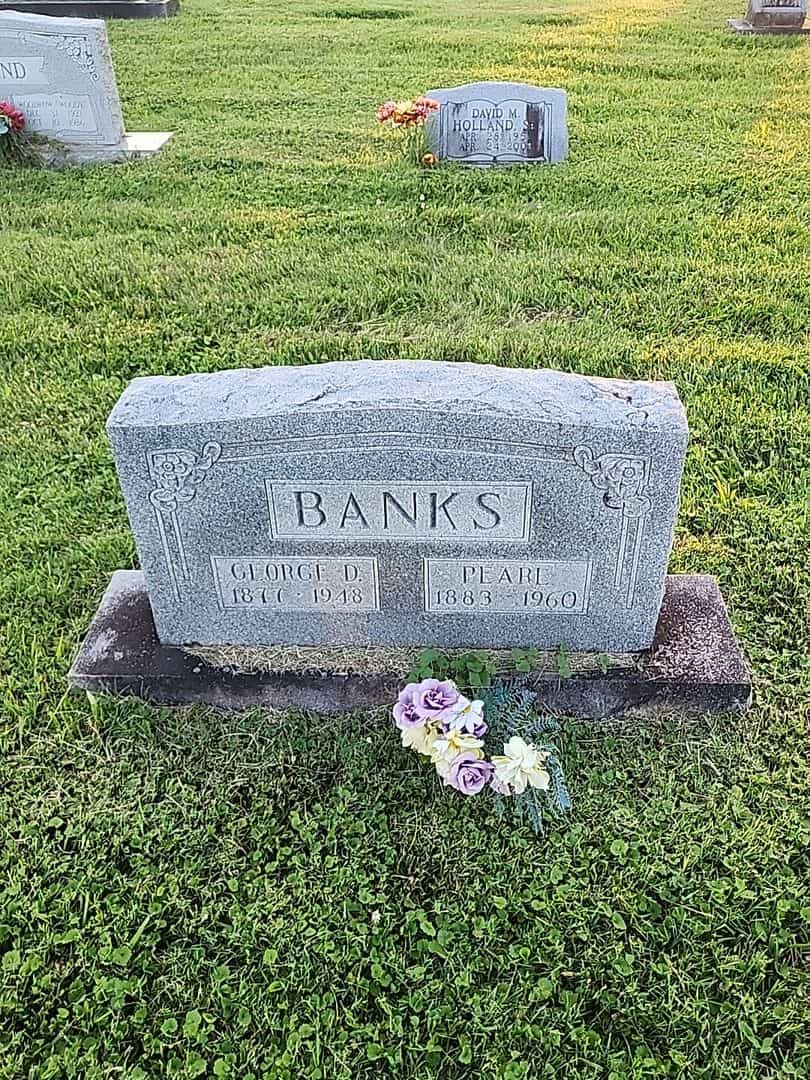 George D. Banks's grave. Photo 1
