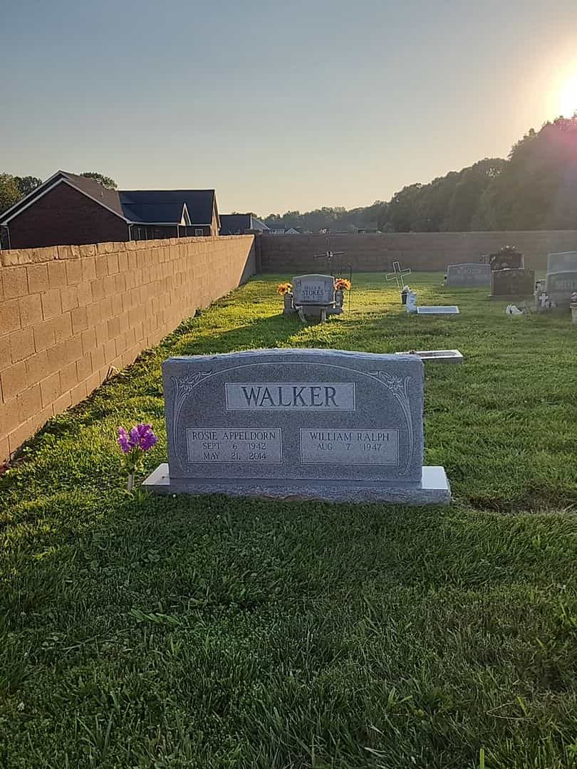 Rosie Appeldorn Walker's grave. Photo 2
