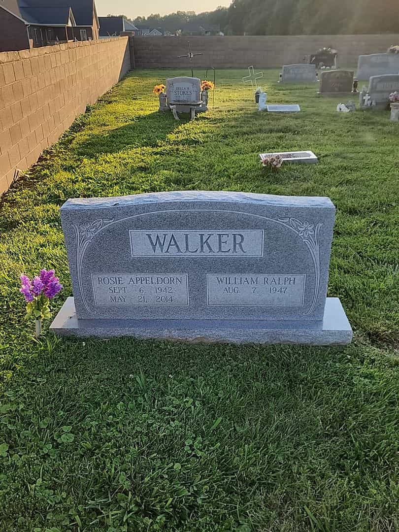 Rosie Appeldorn Walker's grave. Photo 1