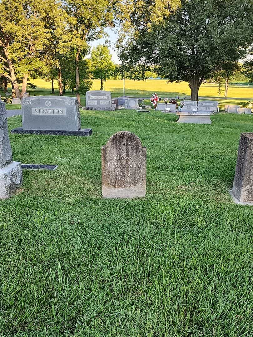 Wayne Vannerson's grave. Photo 2