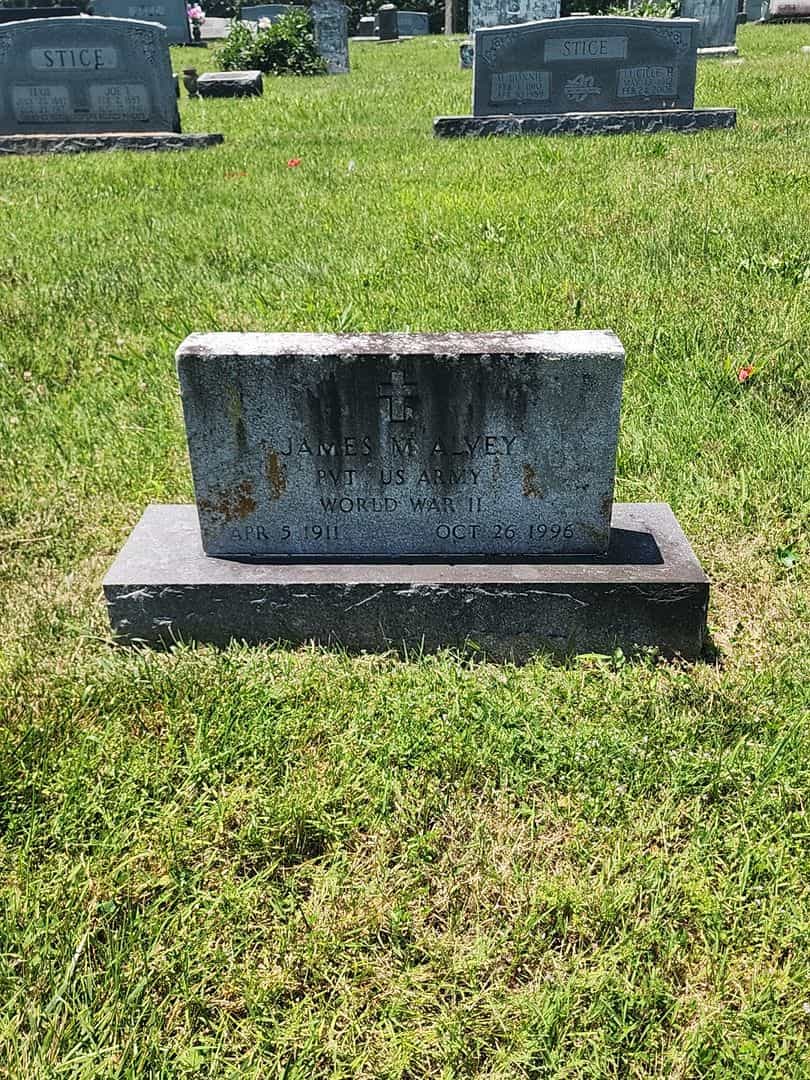James M. Alvey's grave. Photo 1