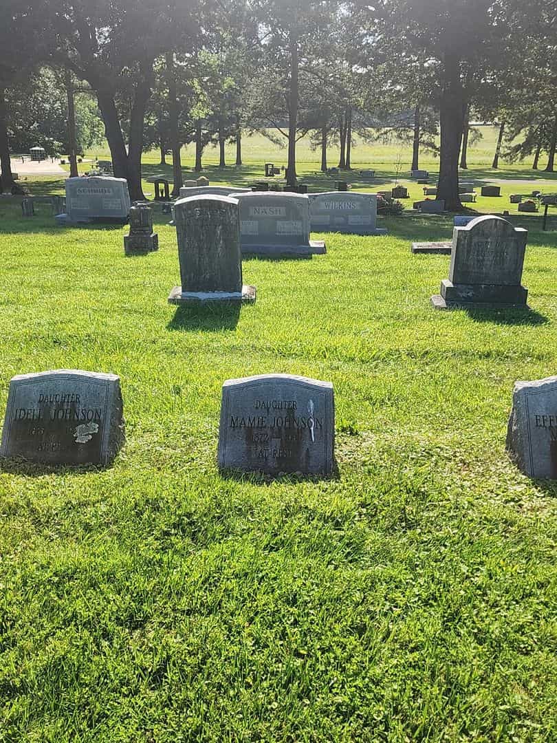 Mamie Johnson's grave. Photo 2