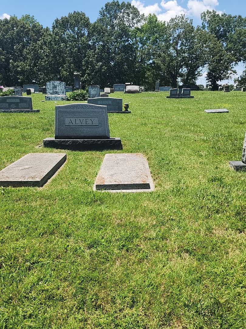 Lessie E. Alvey's grave. Photo 2