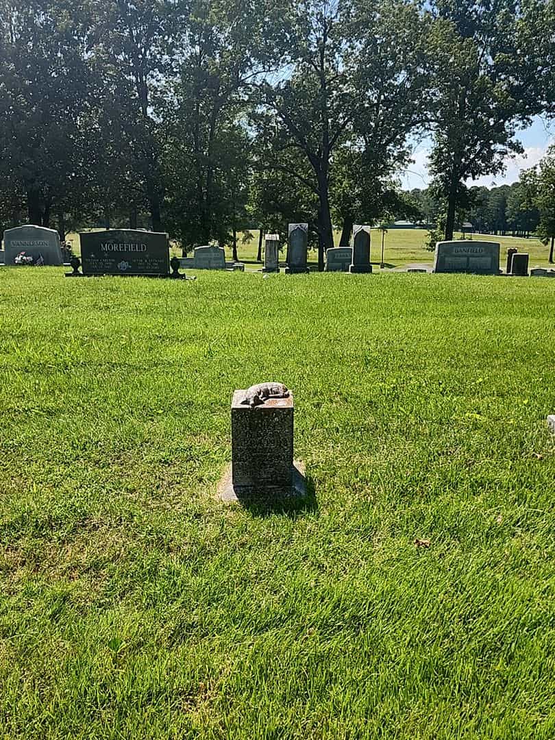 Richard A. Hall's grave. Photo 2