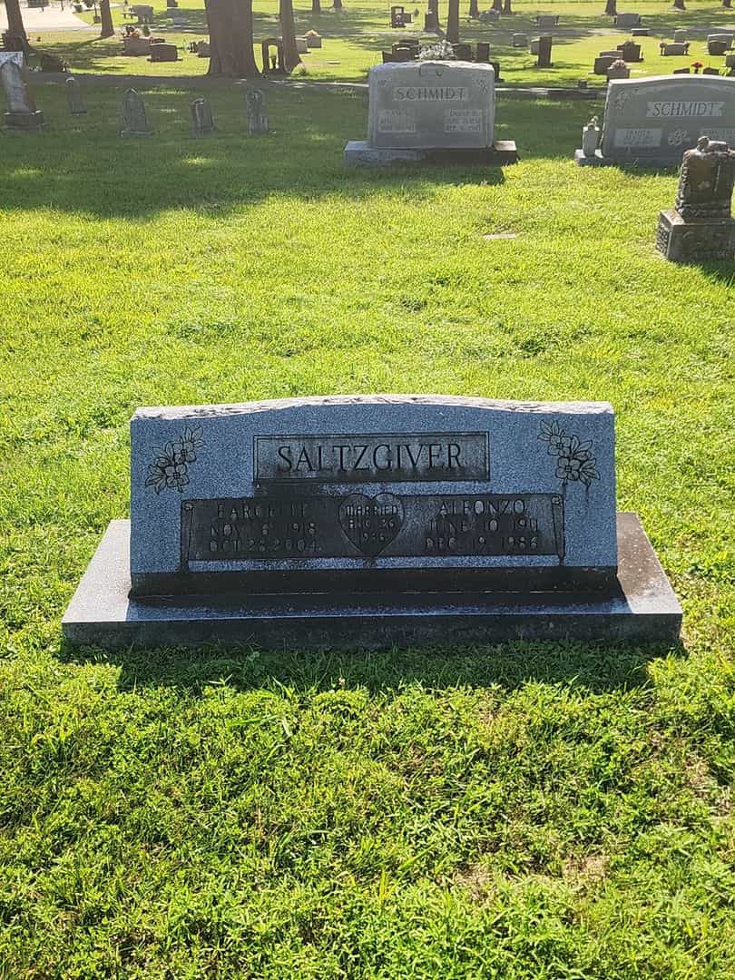Earcelle Saltzgiver's grave. Photo 1