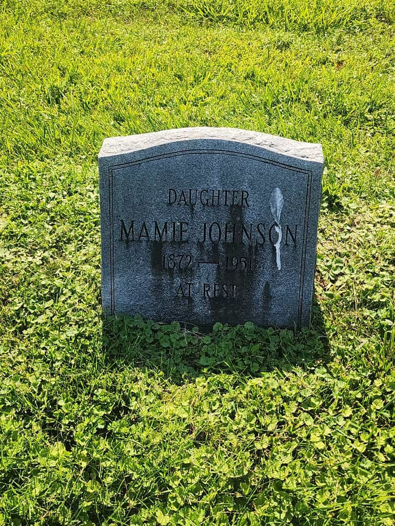 Mamie Johnson's grave. Photo 1
